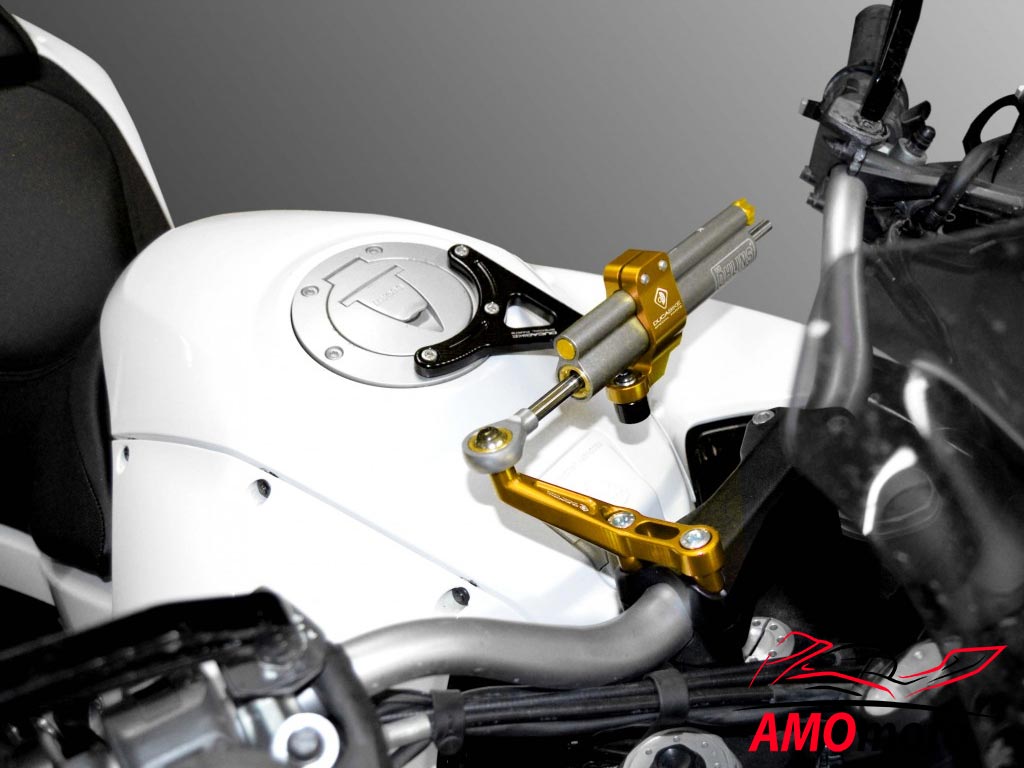 Ducabike SAS11 Mounting Kit Lenkungsdämpfer Multistrada 1200 (10-14) Ducabike SAS11 Mounting Kit Lenkungsdämpfer Multistrada 1200 (10-14)
