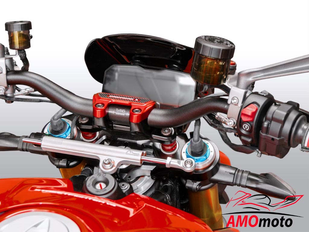 Ducabike CUP13 Windschild Sport Streetfigher V4 Ducabike CUP13 Windschild Sport Streetfigher V4