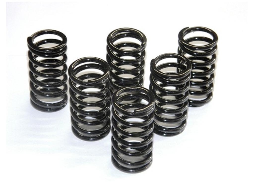 Ducabike 6M01 Clutch Springs 6 Pieces